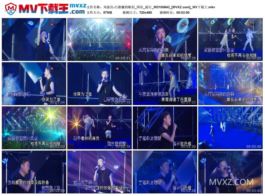 刘嘉亮-白蔷薇的眼泪_国语_流行_MD100843